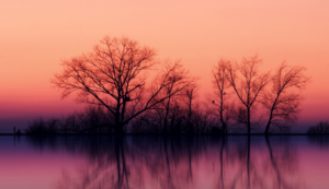 土壤湿度传感器的工作原理视频,土壤湿度传感器的工作原理视频教学